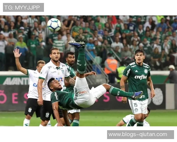 帕梅拉斯与圣保罗对决前瞻分析及比赛预测详解